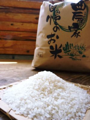 熊本県菊池市七城町の「砂田のこだわりれんげ米」残りわずか!ご注文はお急ぎ下さい‼_a0254656_17383487.jpg