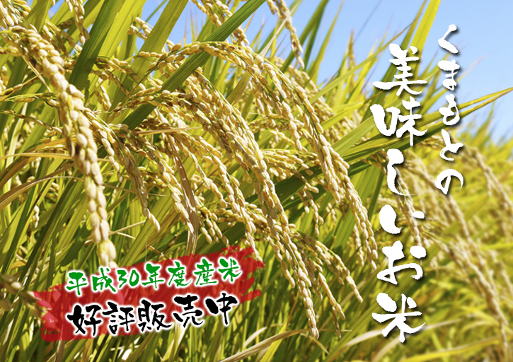 安全で美味しい熊本のお米を紹介!その3:土にこだわる匠のお米「熊本県菊池市七城町 砂田のこだわりれんげ米」_a0254656_18234078.jpg
