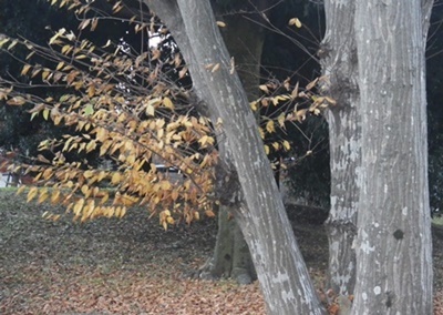 b0254058_17580876.jpg