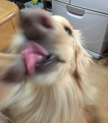 b0027259_22345275.jpeg