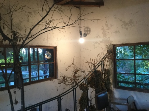 d0137764_16584807.jpeg
