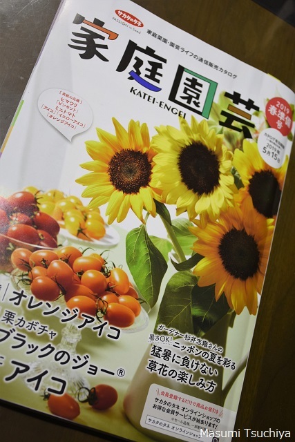 一家に一冊、植物通販カタログ_d0334669_05244874.jpg