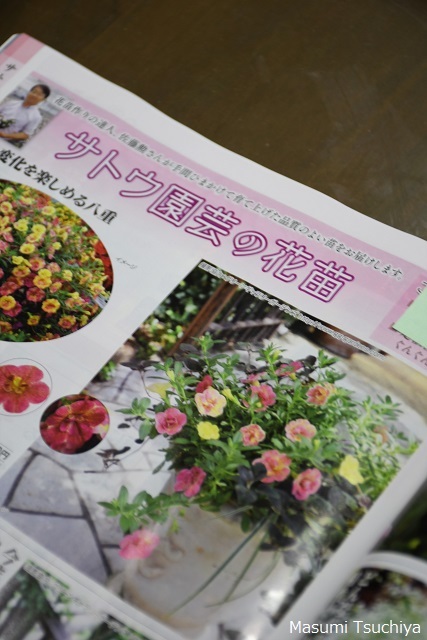 一家に一冊、植物通販カタログ_d0334669_05250681.jpg