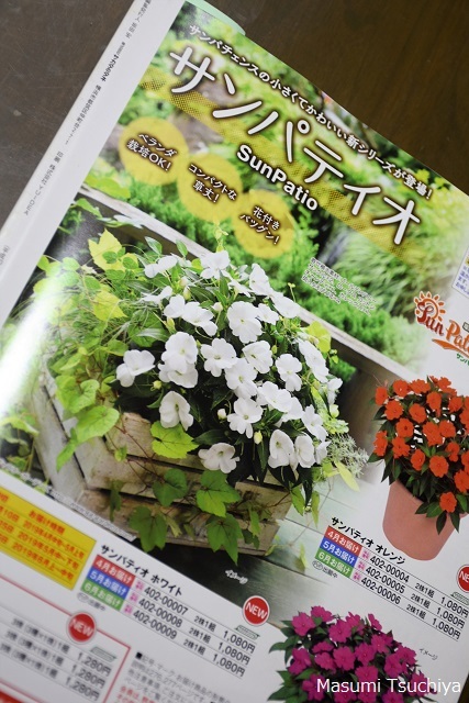 一家に一冊、植物通販カタログ_d0334669_05251283.jpg