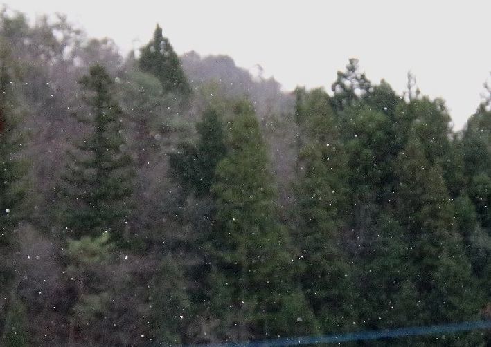 d0258871_22083907.jpg