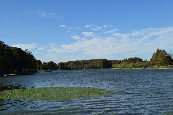 ♪ ダニエル 水元公園で楽しいお散歩～(#^.^#) ♪_b0242873_20101238.jpg