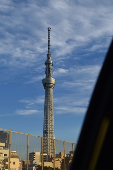 b0242873_20233727.jpg