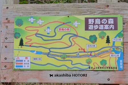 f0150377_10532378.jpg