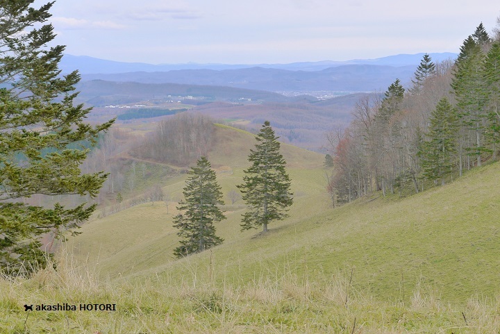 f0150377_11102611.jpg