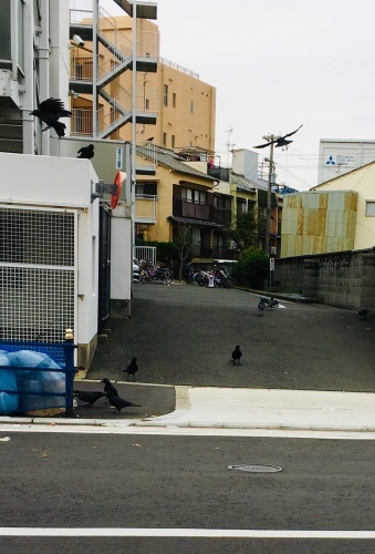c0095679_17454295.jpeg