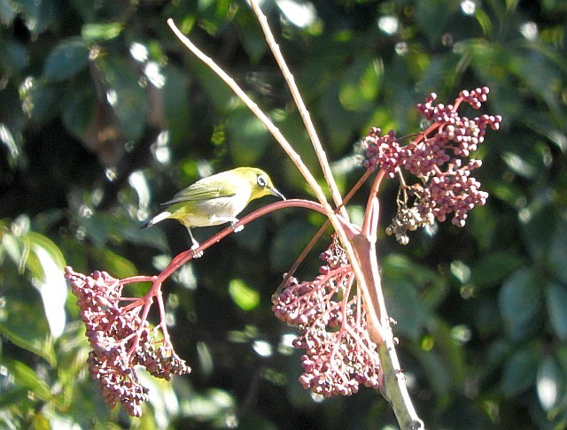 f0378979_16230029.jpg