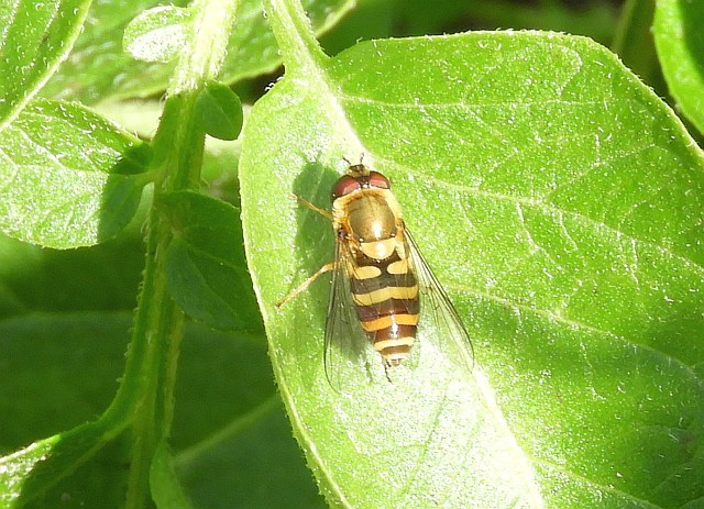 f0378979_16350691.jpg
