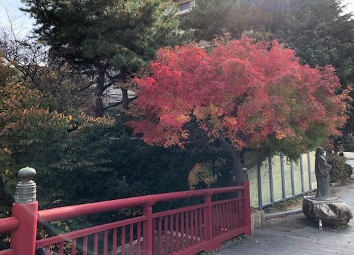 有馬温泉街～～生田神社～中華街_d0082980_21205490.jpg