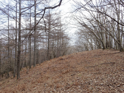 奥多摩の六ツ石山（12/5）_c0051781_21041126.jpg