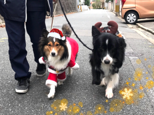 冷え込みました❄️❄️_f0357682_13452111.jpg