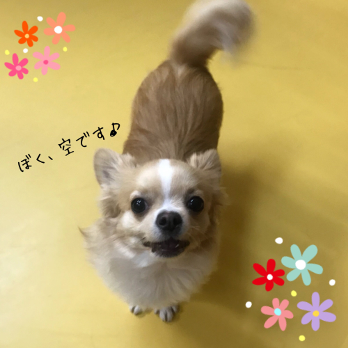 冷え込みました❄️❄️_f0357682_14272748.jpg
