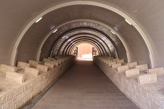 d0183387_01143856.jpg