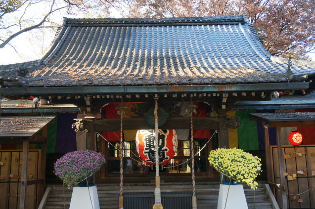 東京紅葉散歩（神宮外苑～九品仏浄真寺）_b0178388_22105610.jpg