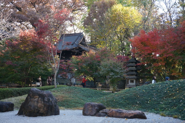 東京紅葉散歩（神宮外苑～九品仏浄真寺）_b0178388_22285255.jpg