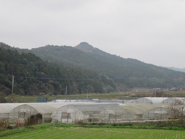a0166196_13273645.jpg