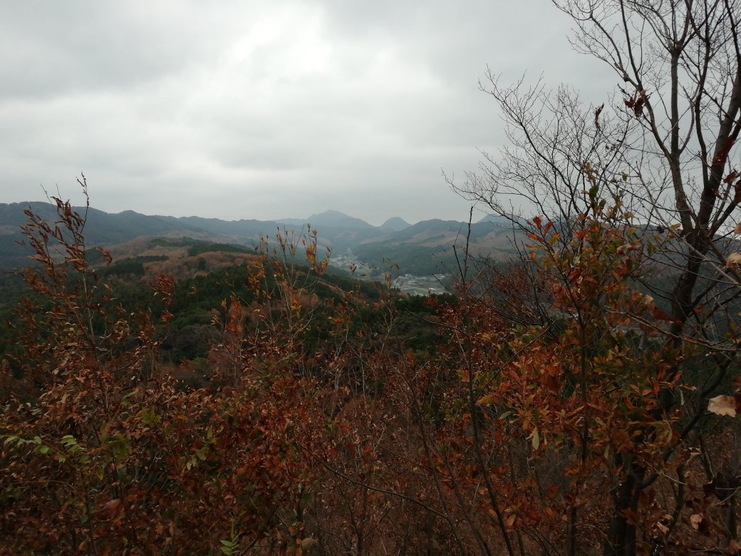 a0166196_1334109.jpg