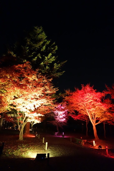 f0126896_08503309.jpg