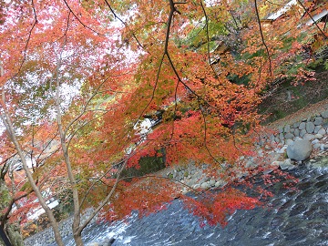 c0172698_04477.jpg