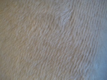 e0193499_17454631.jpg