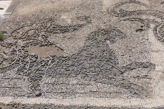 c0153302_00445958.jpg
