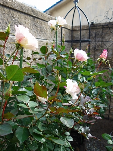 e0289203_16250089.jpg
