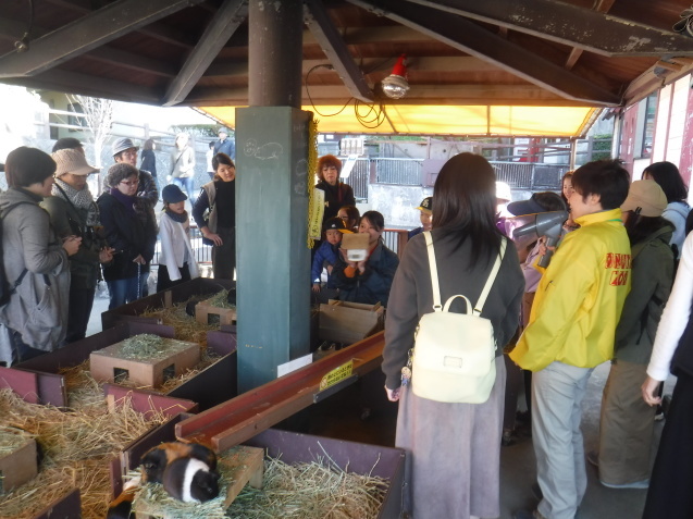 サポーターイベントで動物園の裏側お見せしちゃいました! その2_c0290504_12340173.jpg
