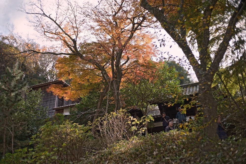 d0376905_14502319.jpg
