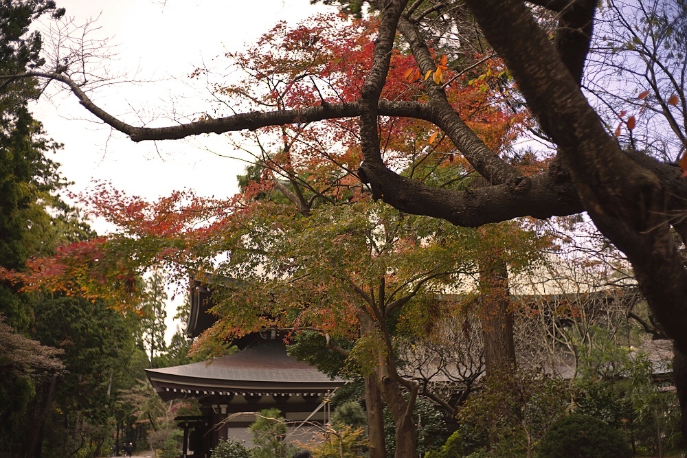 d0376905_14540262.jpg