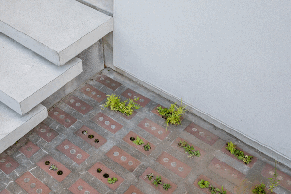 f0039406_22360725.gif