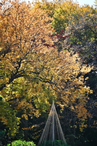 a0263109_19352235.jpg
