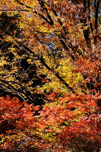 a0263109_19362327.jpg