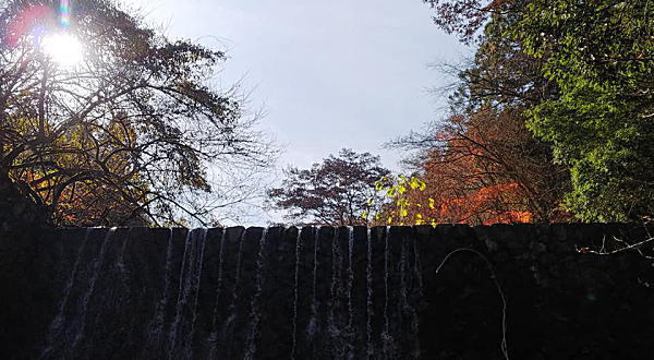 c0178009_17443301.jpg