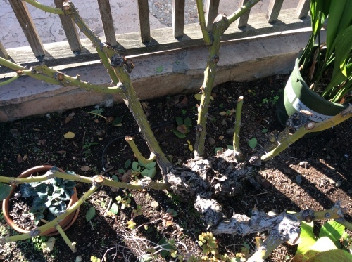 a0331910_10170335.jpeg
