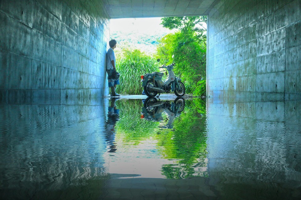 c0146510_13504691.png