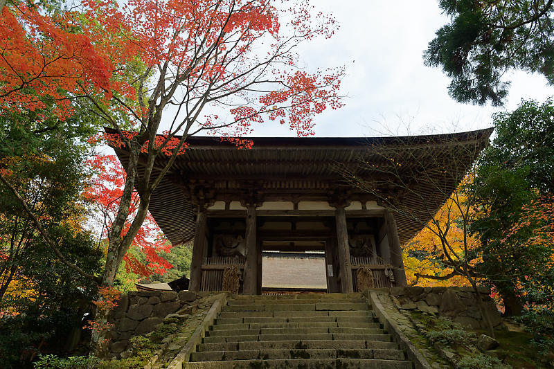 2018湖東三山の紅葉・西明寺_f0032011_16524746.jpg