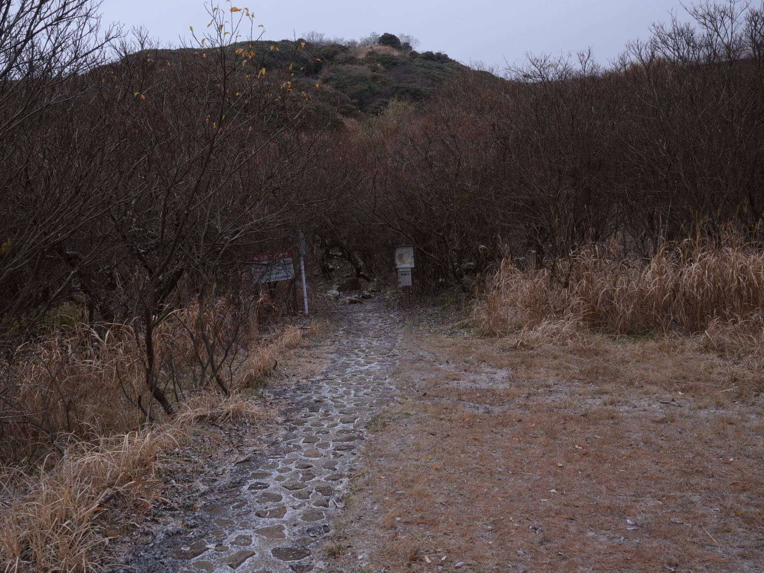 d0355116_19413468.jpg