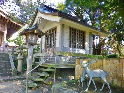 安曇族の歴史探索ツアー！(志賀海神社篇①)_a0353718_14013373.jpg