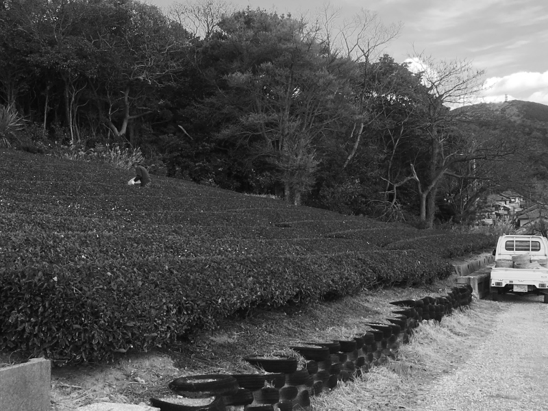 そのお話に「ならではだ」と思える時間_b0220318_11154230.jpg