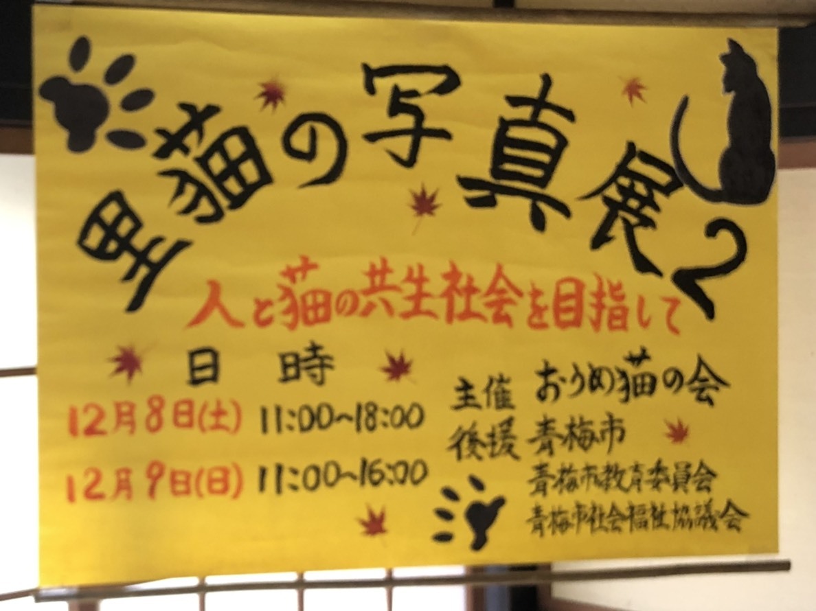 写真展・譲渡ฅ(=・ω・=)ฅ_d0233224_21093488.jpg