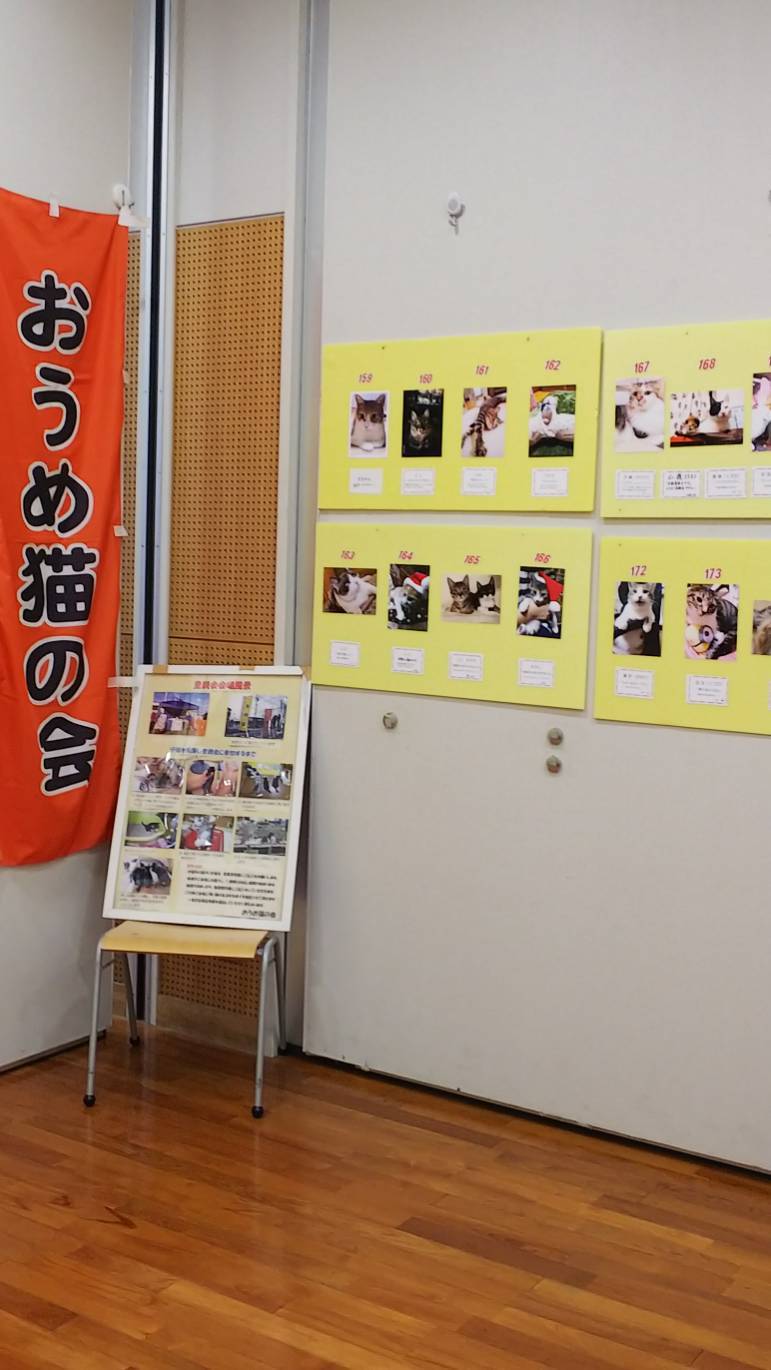 写真展・譲渡ฅ(=・ω・=)ฅ_d0233224_21094527.jpg