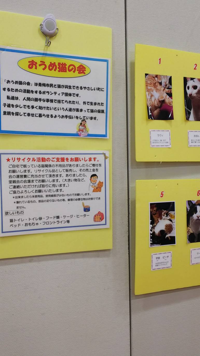 写真展・譲渡ฅ(=・ω・=)ฅ_d0233224_21095645.jpg