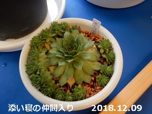 e0033229_156589.jpg
