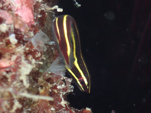 d0164831_17271245.jpg