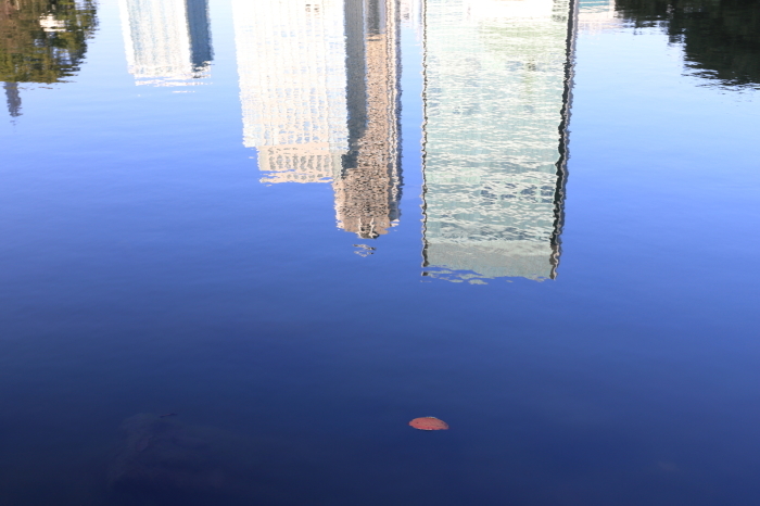 f0348831_15311838.jpg