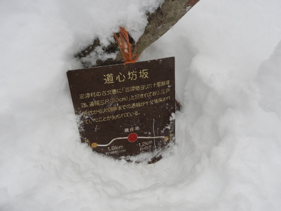 f0118332_00302117.jpg